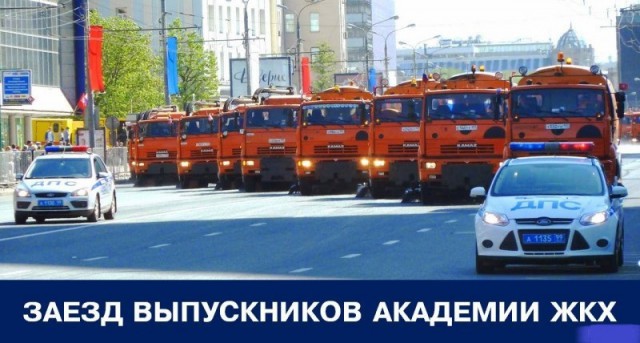 Картинки, гифки.