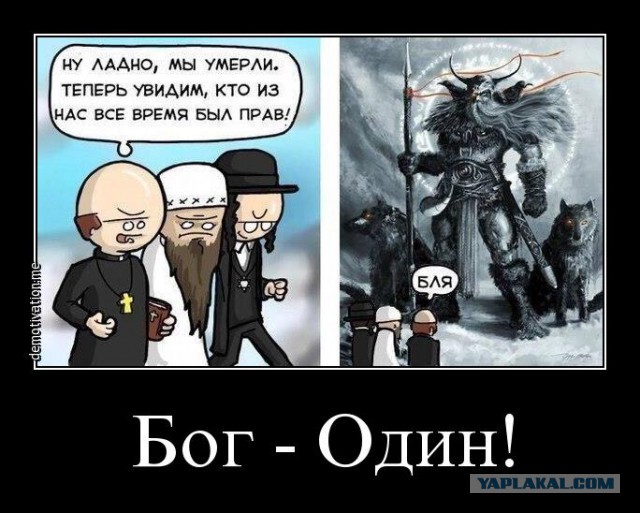 В Норвегии парикмахера судят за отказ обслуживать клиентку в хиджабе.