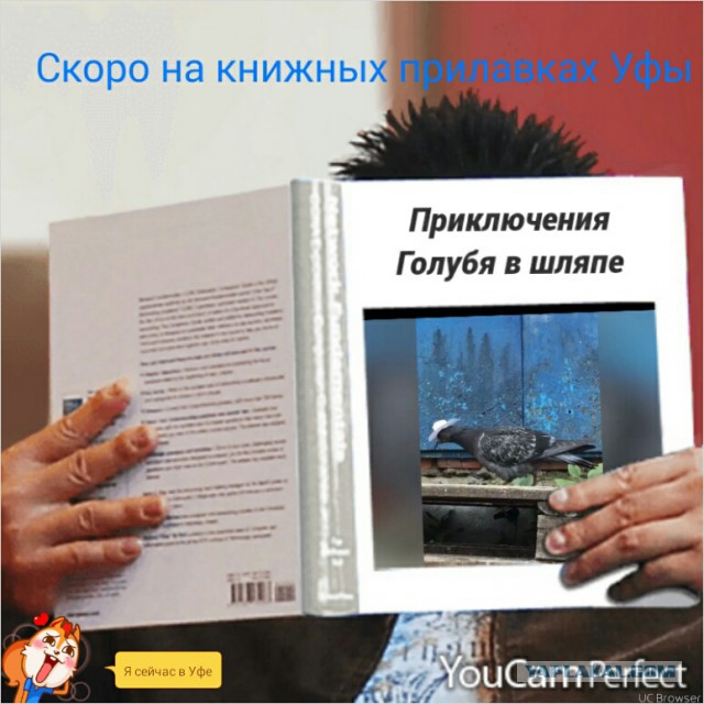 Голубь в шляпе расхаживает по улице в Уфе