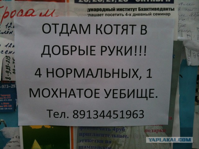 Приколы всякие