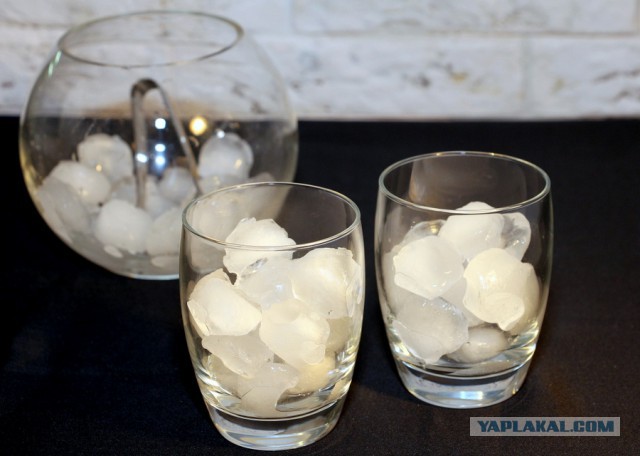 День рождения Кулинарии. Коктейльная вечеринка