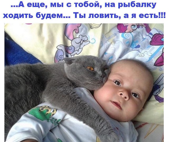 Подборка интересных и веселых картинок
