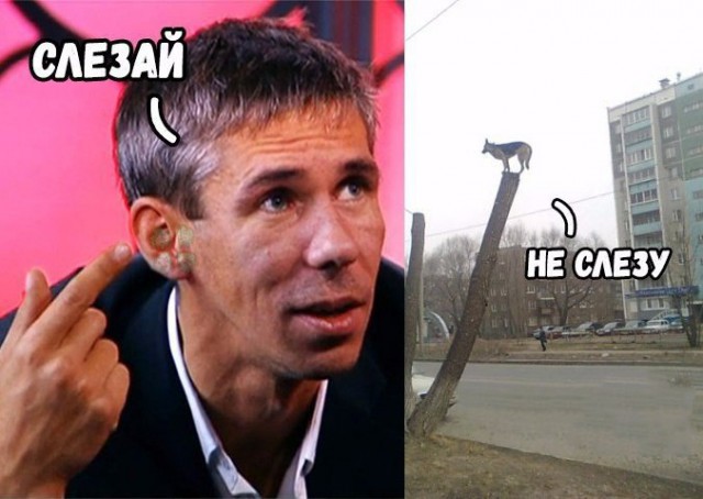 Ах. Этот прекрасный мир!