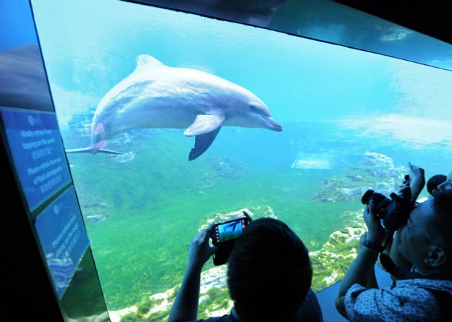 «С миру по нитке»