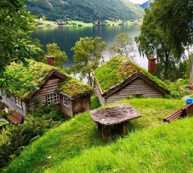 Подборка интересных и веселых картинок