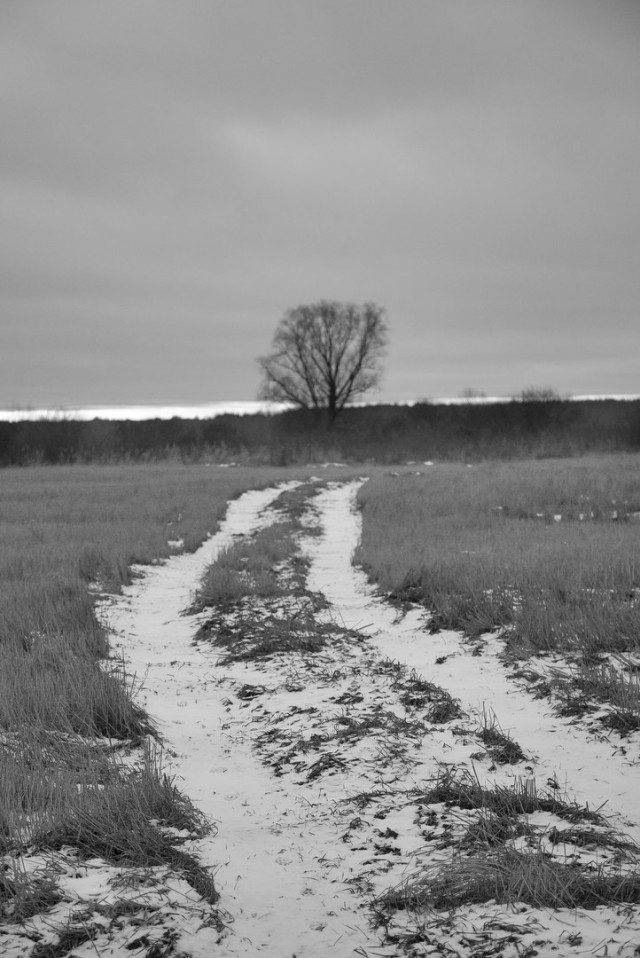 Просто Природа