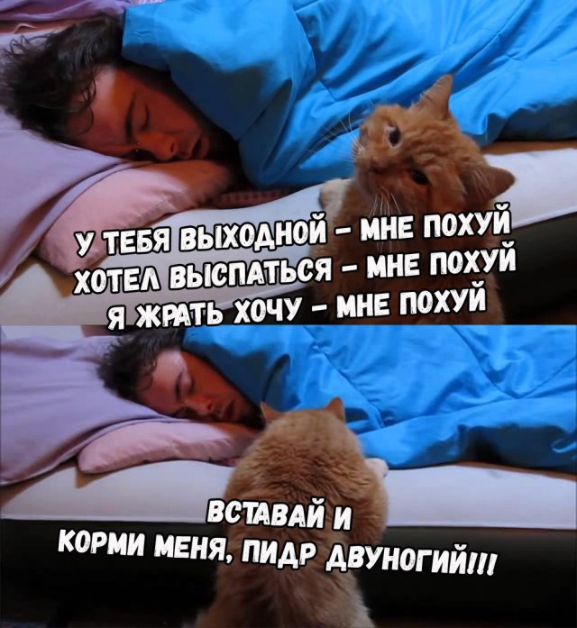 Ударная доза тупежа и деградации