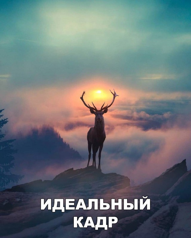 Прикольные картинки обо всём