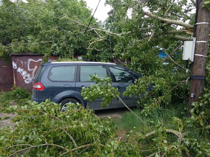 В Нижнем Новгороде ураган вырывает деревья с корнем и переворачивает машины