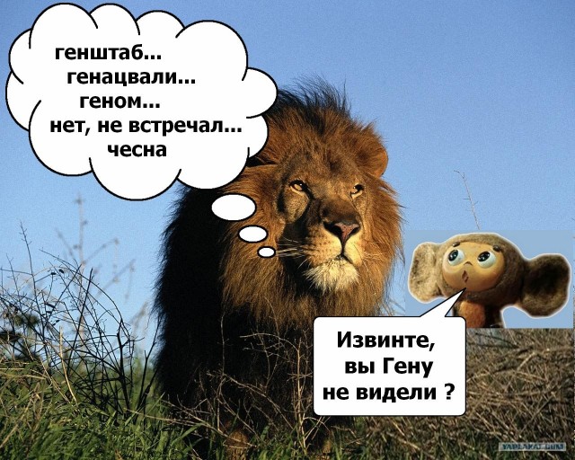 Крокодил против трех львиц