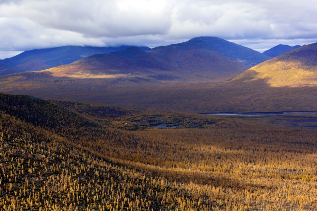 Осенняя тайга