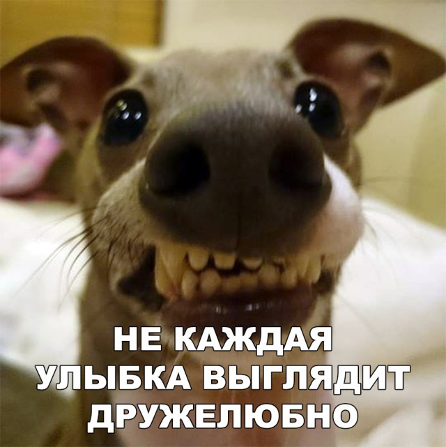 Нестандартный юмор