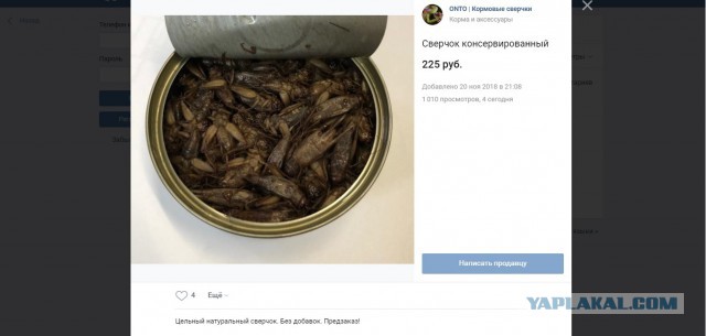 В ресторан выведешь – заказывают столько, словно год не ели