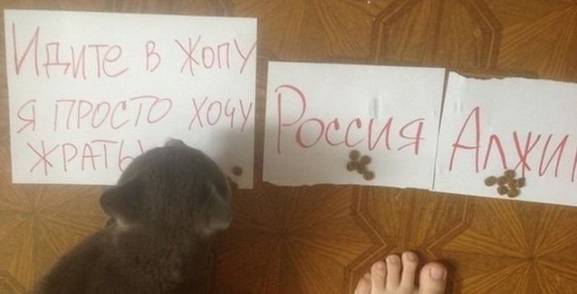 Это нечестно! У вас лишний игрок на поле!