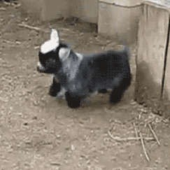 Ну нихрена себе я чихнула!