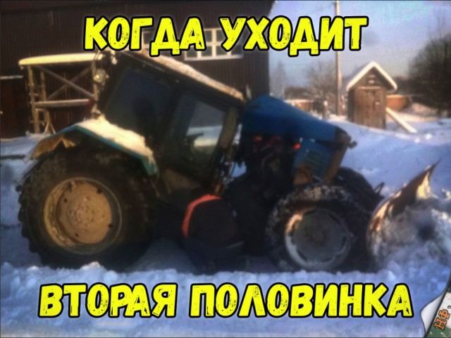 Прикольные картинки абавсём