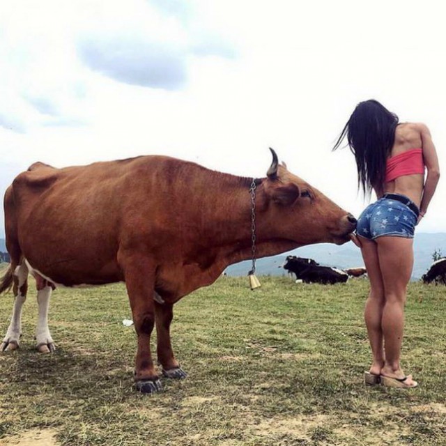Скотсети и прочие интернеты 05.04.19