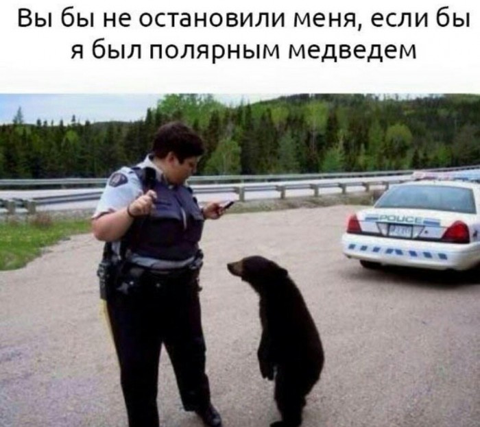 Картинок 30 штук, посмотрим?
