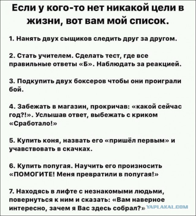 Немного картинок для настроения 15.11.19