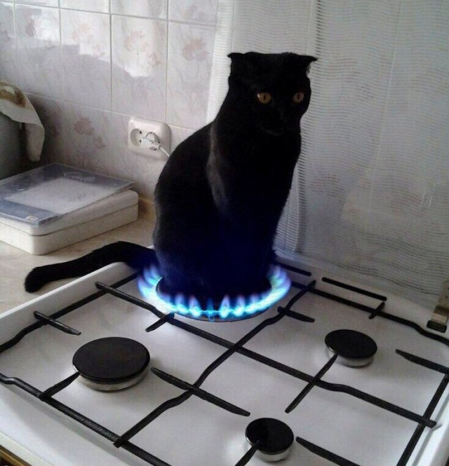 Фотограммы