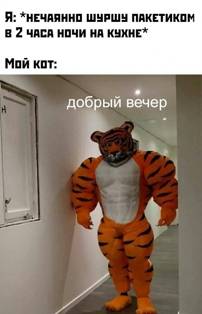 Весёлые картинки