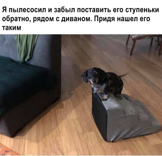 Пара-пара-пам! Фьють!
