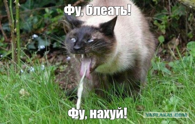 Вдуватели есть? Бодибилдерша с «бедрами-убийцами» показала, какой она была раньше