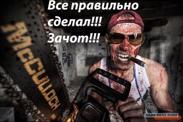 Фотожаберы откликнитесь: техника безопасности