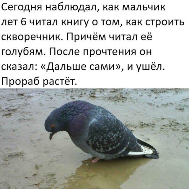 Новую порцию лайтовой чернушки не желаете?