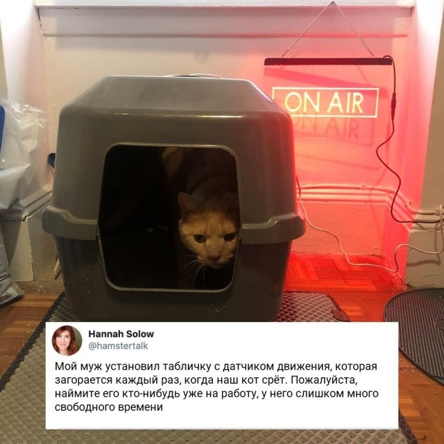 Подборка забавной живности