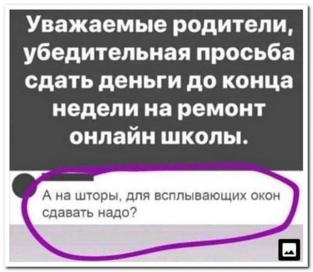 15068527.jpg
