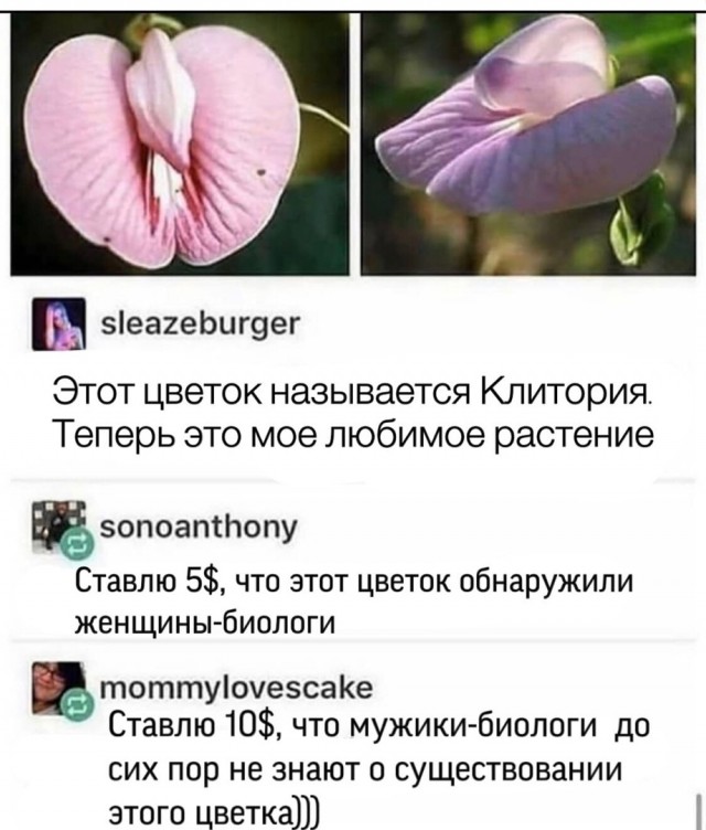 Картинки разные 29.12.2020