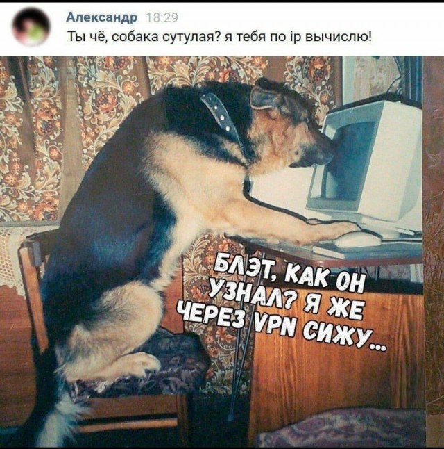 Фу, пошлятина одна