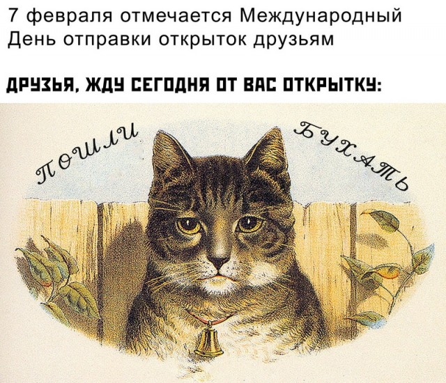 Воскресные кретинизмы из сети 07.02.21