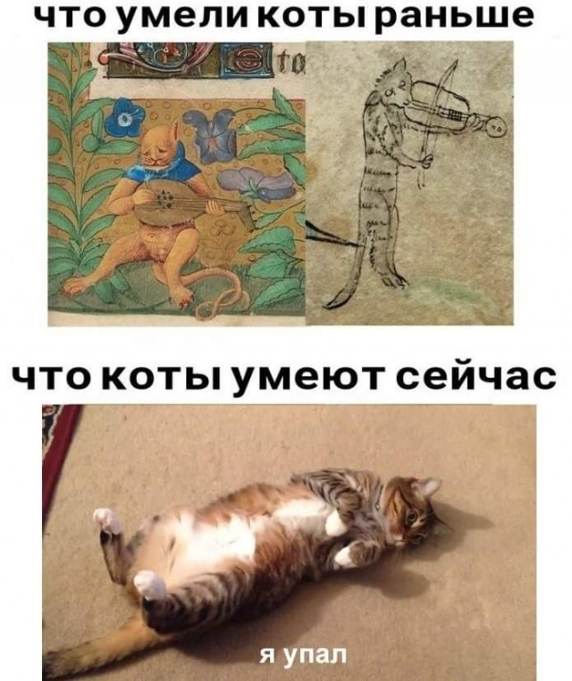 Картинки с надписями и котами