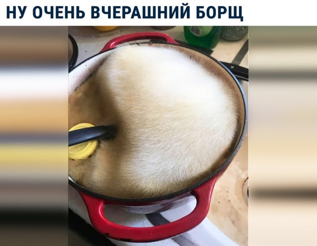 Весёлый полтишок 19.02
