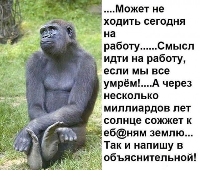 Учёные зафиксировали рекордное замедление Гольфстрима — такой скорости у течения не было как минимум тысячу лет