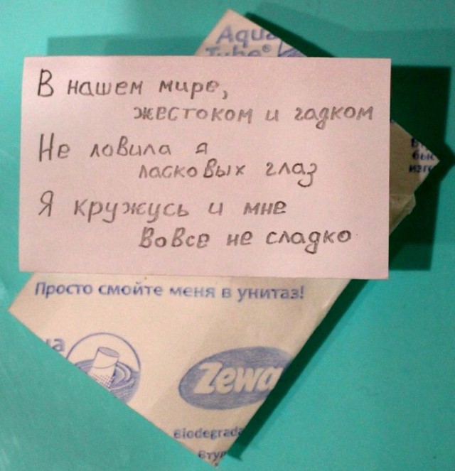Шедевры поэзии от людей, которых муза подстерегает буквально на каждом шагу