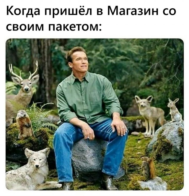 Весёлый полтишок 5.05