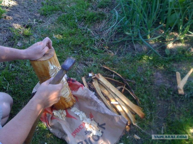 Все из рыбы!