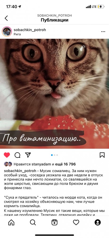 Мусик