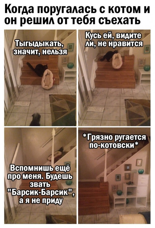 Так себе картинки 13.08.21