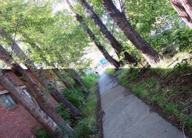 Картинки и мемы для настроения