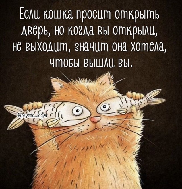 Картинки и мемы для настроения
