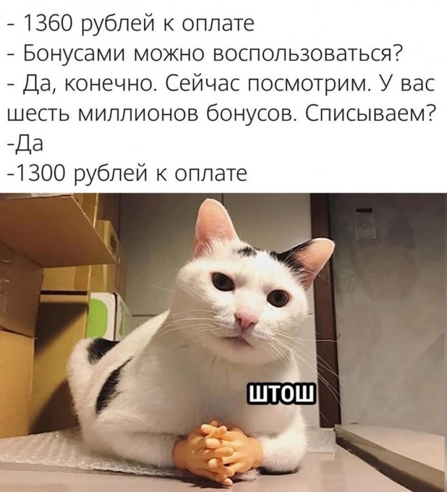 Так себе картинки 28.11.21