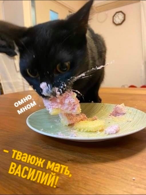 К котовторнику, драма в 6-ти действиях