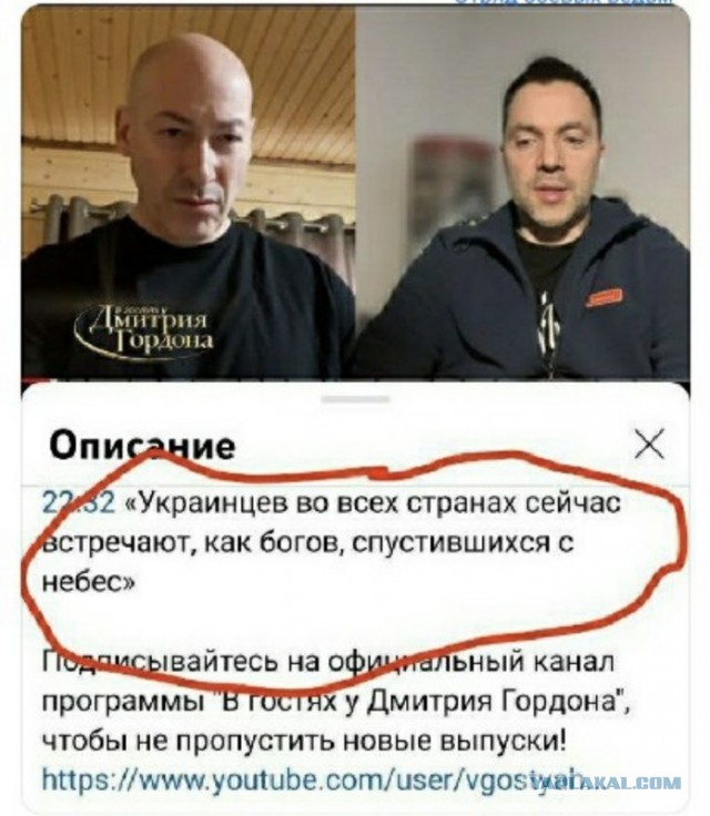 Чем кормят украинские СМИ. На Арене Гордон и Люся Арестович