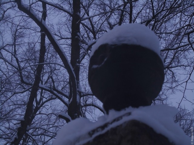 Выборг