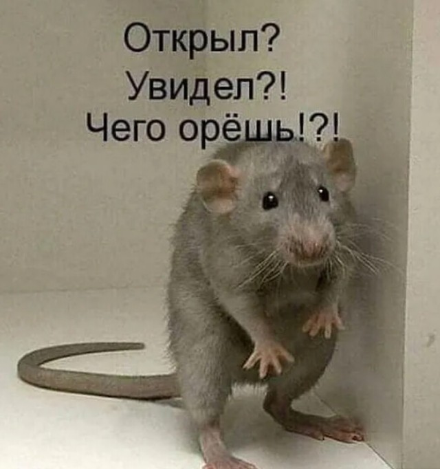 Юмор в картинках 20.05.2022