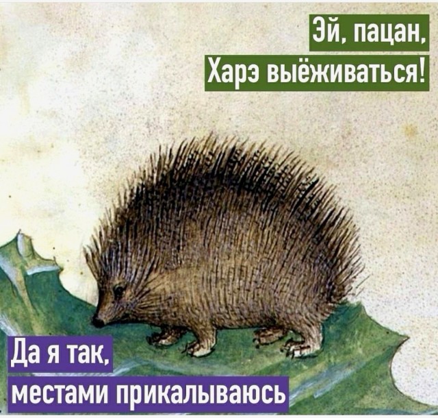 Картинки и мемы, всем хороших выходных
